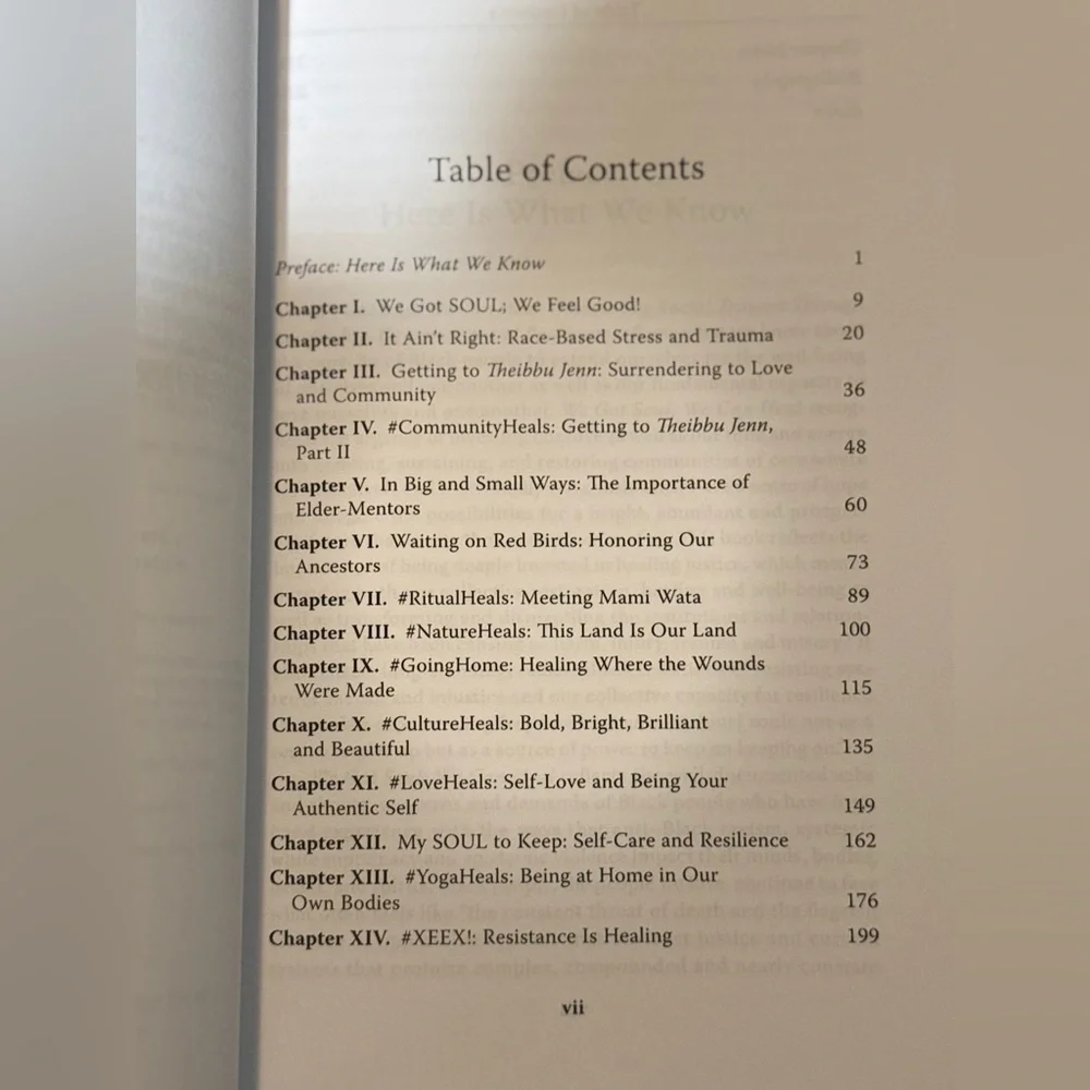 “We Got Soul, We Can Heal” Self - Help Book - Picture 2 of 6